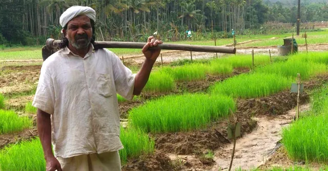 Kerala’s 'Guardian of Native Paddy' Lives in a 150-YO Home Made of Mud & Bamboo!