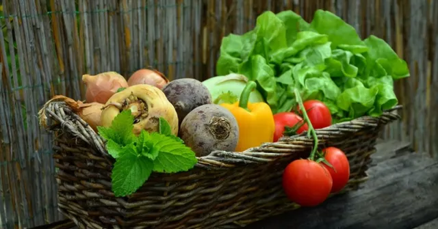 Safe or Not: Why You Need to Know FSSAI's Guidelines on Irradiated Foods & Radura Logo