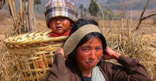 India's First REDD+ Project: Meghalaya Tribes Are Reviving 27k+ Hectares of Forests