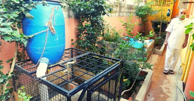 Harvest Rain or Pay Higher Water Bill: DIY App by Bengaluru's Rainman Can Help!