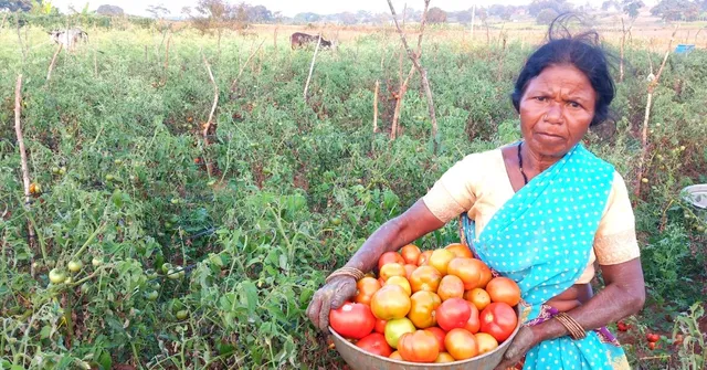 Karnataka Tribal Woman Turns Into Organic 'Super Farmer', Now Earns In Lakhs!