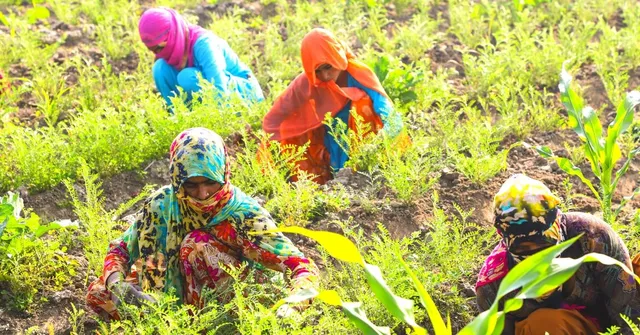 This State's Solutions May Be The Answer Farmers Across India Are Looking For!