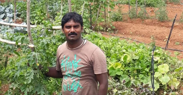 Bengaluru Man's Venture Lets You Rent a Farm for Rs 2/Sq Ft & Grow Your Own Veggies!