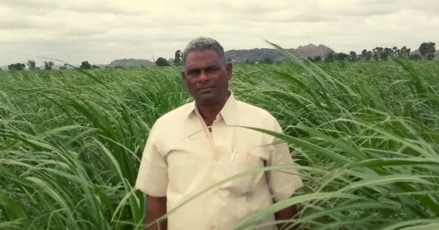 What Doesn't Kill You Makes You Organic: 2 Close Calls Turn Man To Natural Farming