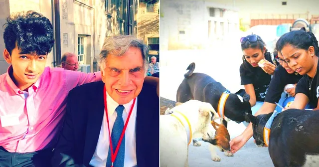 Pune Man's Innovation for Stray Dogs Impressed Ratan Tata, Got Him a Dream Job!