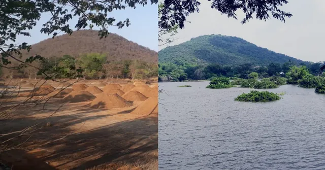 Water & Birds Return to 18-Acre Dried Chennai Lake, Thanks to this IFS Officer!