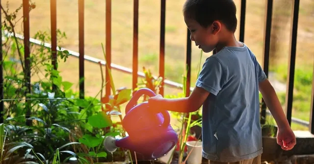Dream of Growing an Organic Vegetable Garden? You Can Start at Just Rs 279!
