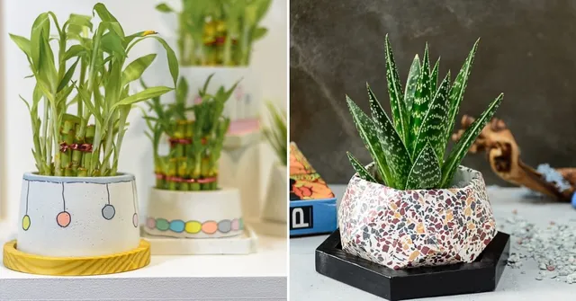 These Reclaimed Concrete Planters Are Exactly the Cool Your Plants Need!