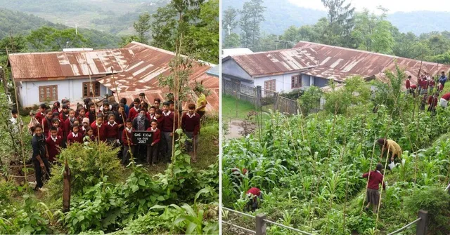 Nagaland School Kids Grow Their Own Organic Mid-Day Meals, Inspire Whole Village