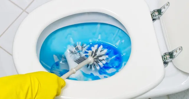5 Harmful Chemicals in Your Toilet Cleaner That You Must Be Very Afraid Of