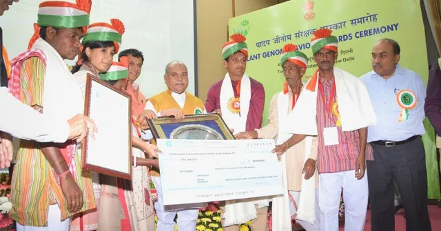 Reviving Our Rice Bowl: Bengal Farmers Preserve 200+ Traditional Rice Varieties