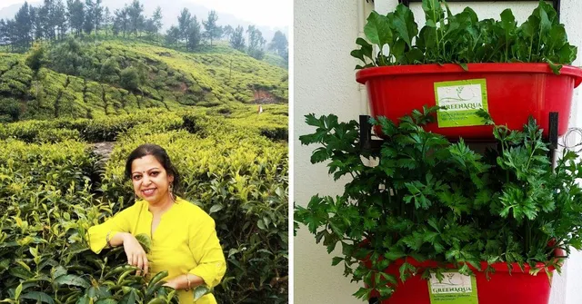 Punekars, Learn All About Growing Veggies With Aquaponics Farming in Just 1 Day!