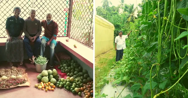 Here's How This Kerala Engineer Grows 26 Types of Veggies In Just 60 Sq Ft Space!