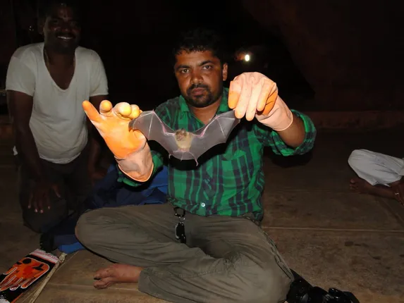 ‘Humans Spread COVID-19, Not Bats': Maharashtra's 'Bat Man' Busts Myths