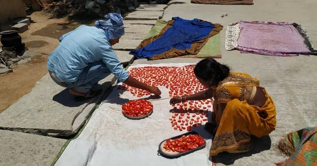 Kolar Farmers' Sun-Drying Method Saves 1 Tonne Tomatoes from Going Waste in Lockdown
