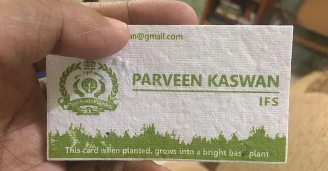 IFS Officer's Plantable Visiting Cards Go Viral, Here's How You Can Get Your Own