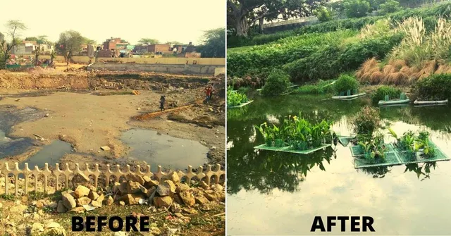 Delhi Man Turns Wasteland Into Model Lake in a Year, For Half The Usual Cost