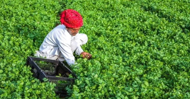 Saving Water & Plastic, How This Company is Prioritising The Health of The Planet