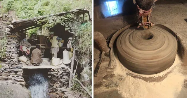 Chandigarh Startup Revives an Ancient Himachal Method to Make Delicious 'Atta'