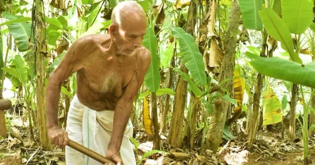 'How My Love For Farming Is Keeping Me Fit at 93'