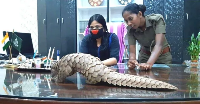 Despite Threats, Forest Officer Busts Smuggling Ring of World’s Most Trafficked Animal