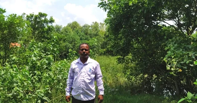 Odisha Man Creates 25 Acres of Mangrove Forest in 12 Years, Saves Village From Cyclones
