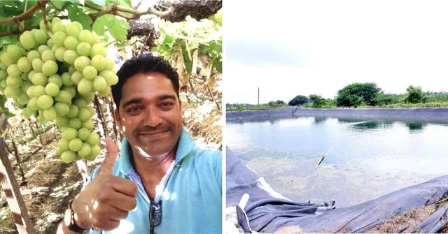 Nashik Villagers Join Hands to Save 50 Cr Litres Of Water, Export 600 Tons Of Grapes