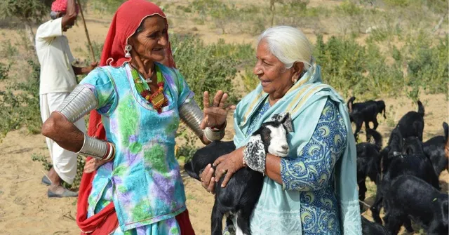 Jodhpur Woman Helps 15000 More Sell Their Traditional Embroidery to Germany, Japan