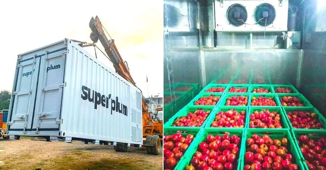 Noida Startup's Innovative IoT Containers Help Fruits Stay Farm-Fresh Up to 4 Weeks