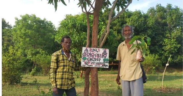 30,000 Trees, 1 Man: Meet Odisha's Incredible 75-Year-Old 'Tree Teacher'