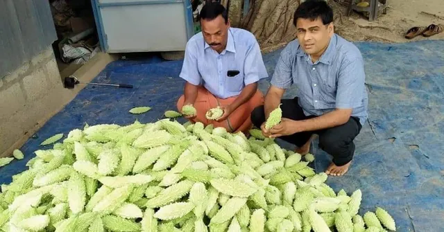How I Used WhatsApp to Cut 'Lockdown Loss' For 35 Organic Farmers