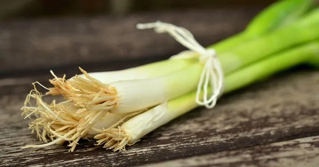 Watch This Easy Hack To Grow Organic Spring Onions at Home