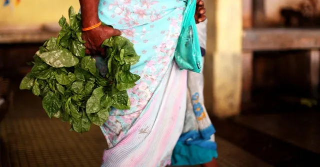 'Saag' Map Of India: 10 Desi Leafy Greens You Need to Pick Over Kale & Lettuce