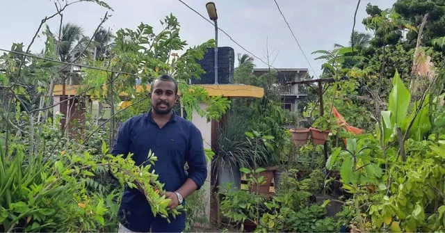 Spending Just Rs 500/Month, I Grow 100+ Plants at Home. Here's How