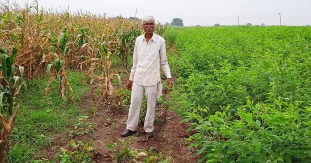 First in Village To Go Organic, 70-Y0 Farmer Helps 1000 Others Follow Suit