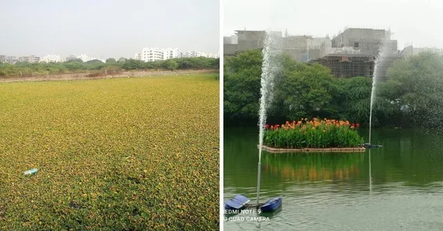 Despite Threats, Here’s How I Converted This Dump Yard Into a Beautiful Oasis’