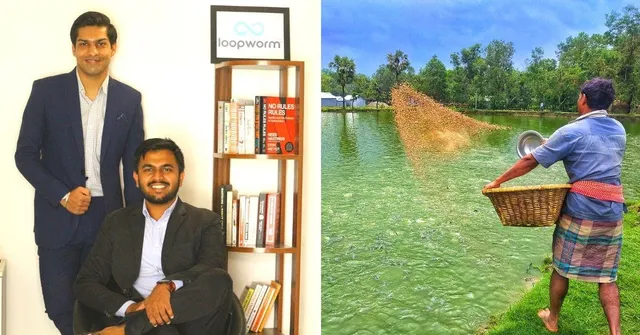 IIT-Roorkee Alumni Use Insects to Upcycle a Ton of Food Waste/Week Into Animal Feed