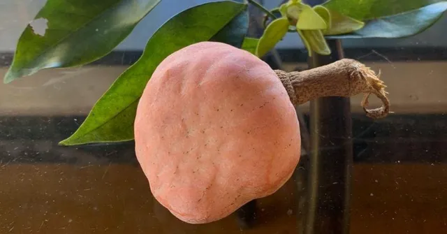 Eaten Ramphal Yet? Here's Why You Need to Include This Powerhouse Fruit In Your Diet