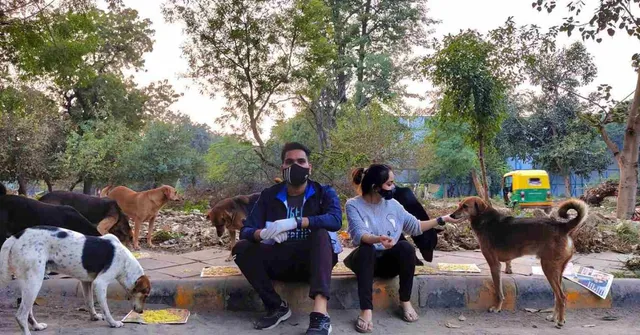 DU Students Use Savings to Start Community Kitchen for Dogs, Rescue Over 1000 Strays