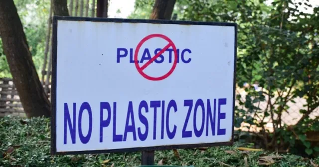 What Single-Use Plastic Alternatives to Use Everyday With India’s Ban in Action