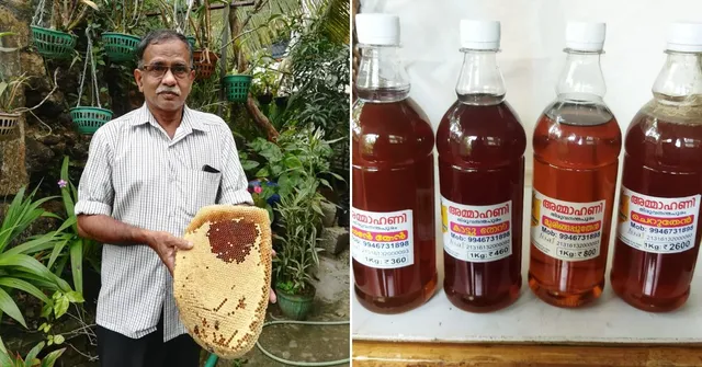 Kerala Mechanic Launches 'Buzzing' Business, Harvests 1500 Kg of Organic Honey
