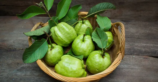 8 Natural Mouth Fresheners In Your Kitchen That Are Packed With Health Benefits