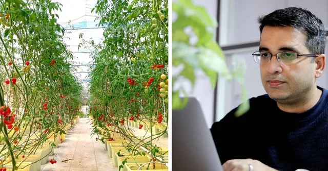 IIM Grad’s Hydroponics Startup Helps 5000 Farmers Earn More; Wins Rs 65 Lakh Grant