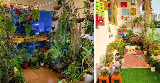 How To Setup a Low-Maintenance Garden? 7 Hacks for Beginners With Busy Schedules