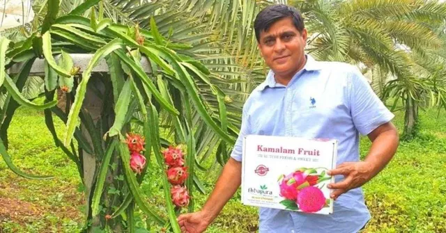 7 Amazing Innovations By Farmers Transforming Indian Agriculture