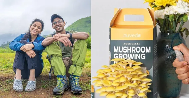 Couple’s DIY Kits Help Grow Exotic Mushrooms Inside Your Home; Earn Them Rs 50 Lakh/Year
