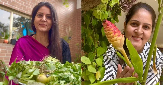 How to Grow Pepper, Clove, Turmeric & 15 Types of Indian Spices At Home