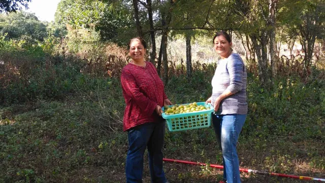 Sisters Took Up Farming in Their 40s; Earn Rs 11 Lakh Growing Gooseberry, Mangoes & More