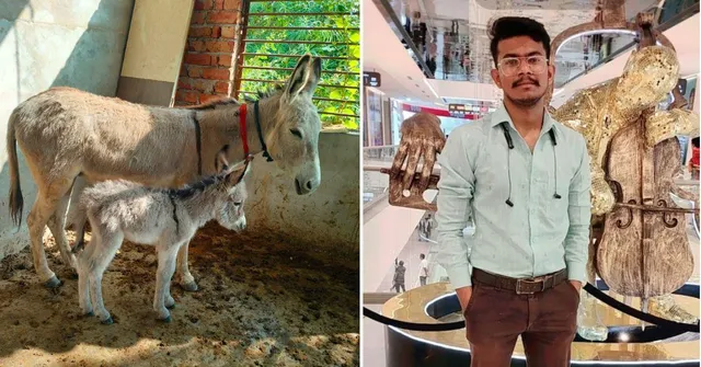 ‘I Earn 10 Times More Now’: Farmer Quit His Dream Job To Sell Donkey Milk, Makes Rs 3 Lakh/Month