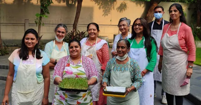 How to Grow Microgreens At Home? Entrepreneur Sells 50 kg/Month, Shares Tips